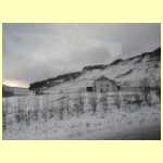 DSCN0706.JPG